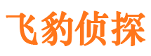 麻栗坡寻人公司